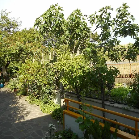 Hotel Gina 3*